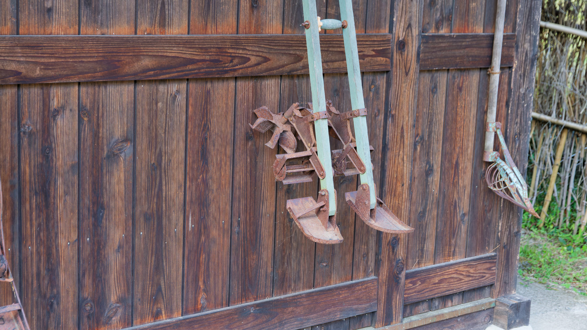 03-Mt Fuji (15) Saiko Iyashi-no-Sato.jpg